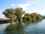 15. ljepota rijeke